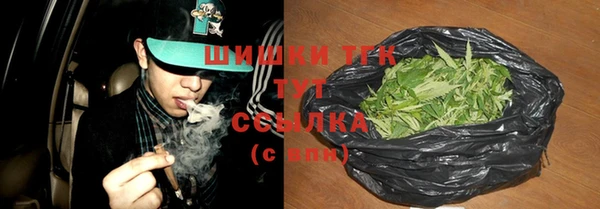 стаф Абаза