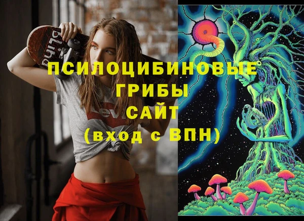 стаф Абаза