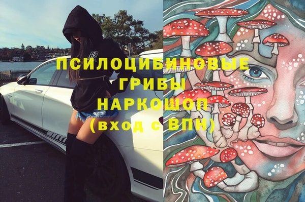 стаф Абаза