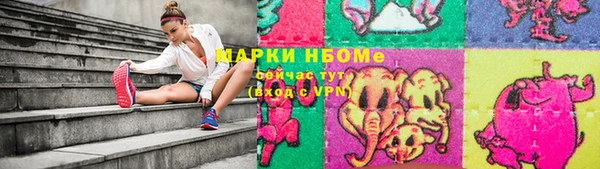 стаф Абаза