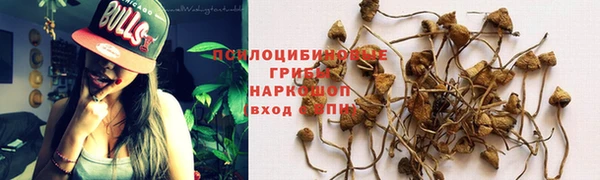 стаф Абаза