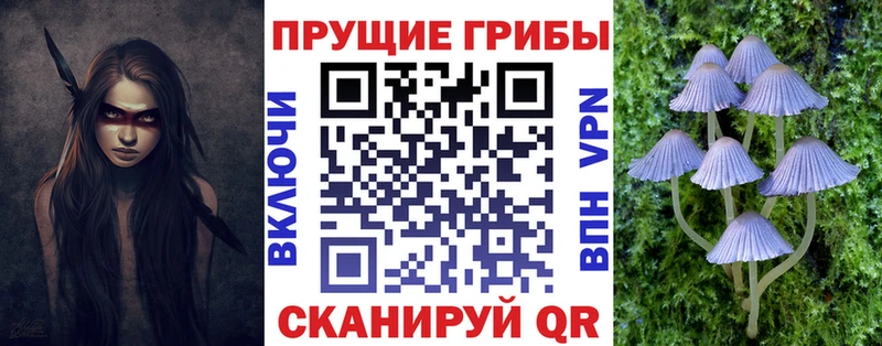 Галлюциногенные грибы GOLDEN TEACHER  купить закладку  Орск 